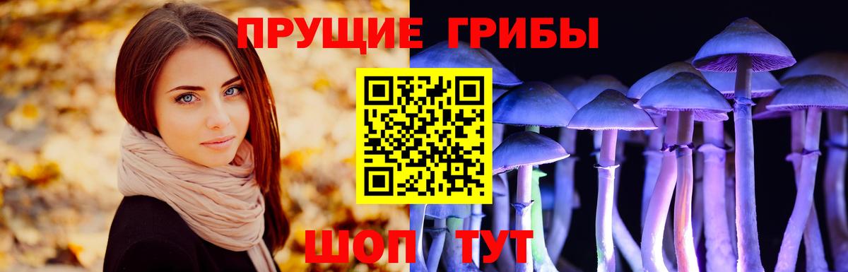 Галлюциногенные грибы GOLDEN TEACHER  Вход с VPN  Гусиноозёрск 